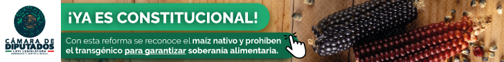 Camara de Diputados